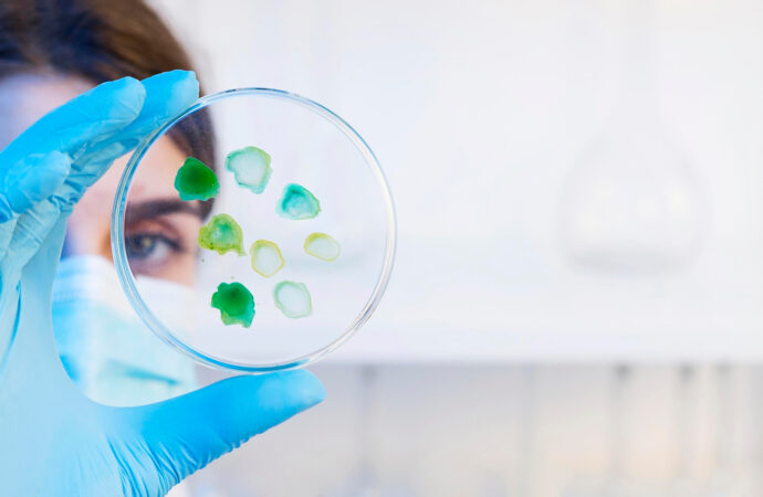 Dobry probiotyk na jelita: jak działa i jak go stosować? Przeczytaj rady dietetyka